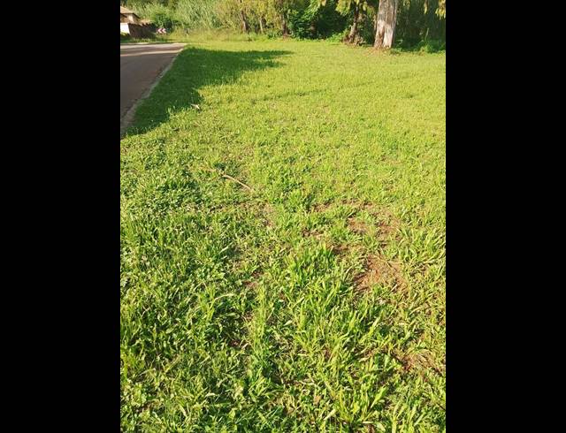 LAND FOR SALE IN LADY SELBORNE